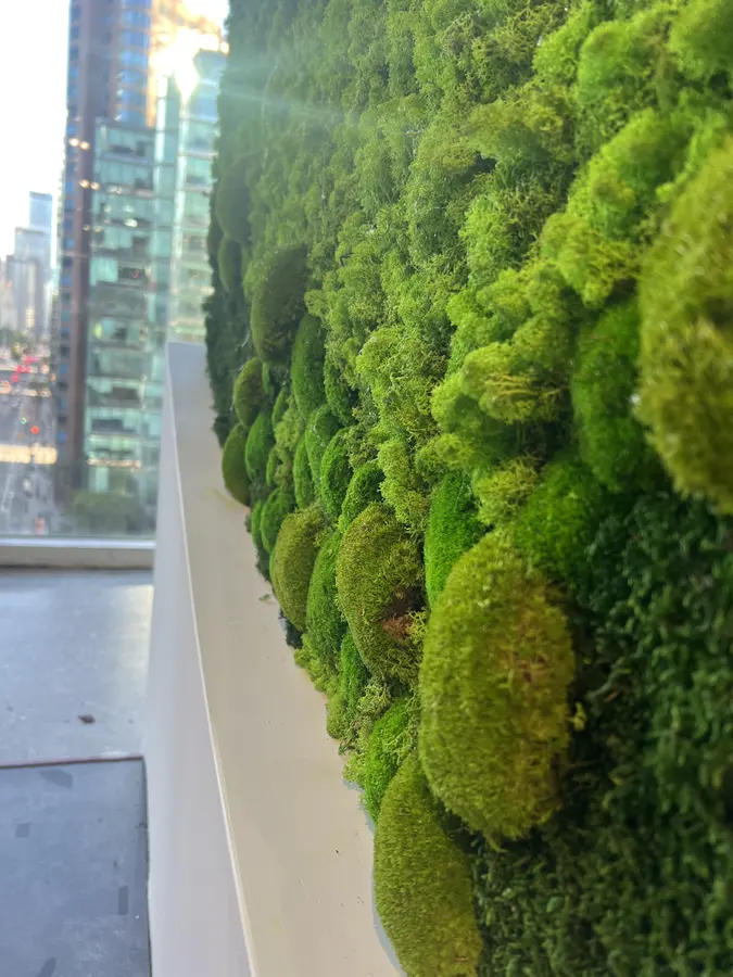 Preserved moss wall by Mythology Floral Art at 123 Front St. West, Toronto