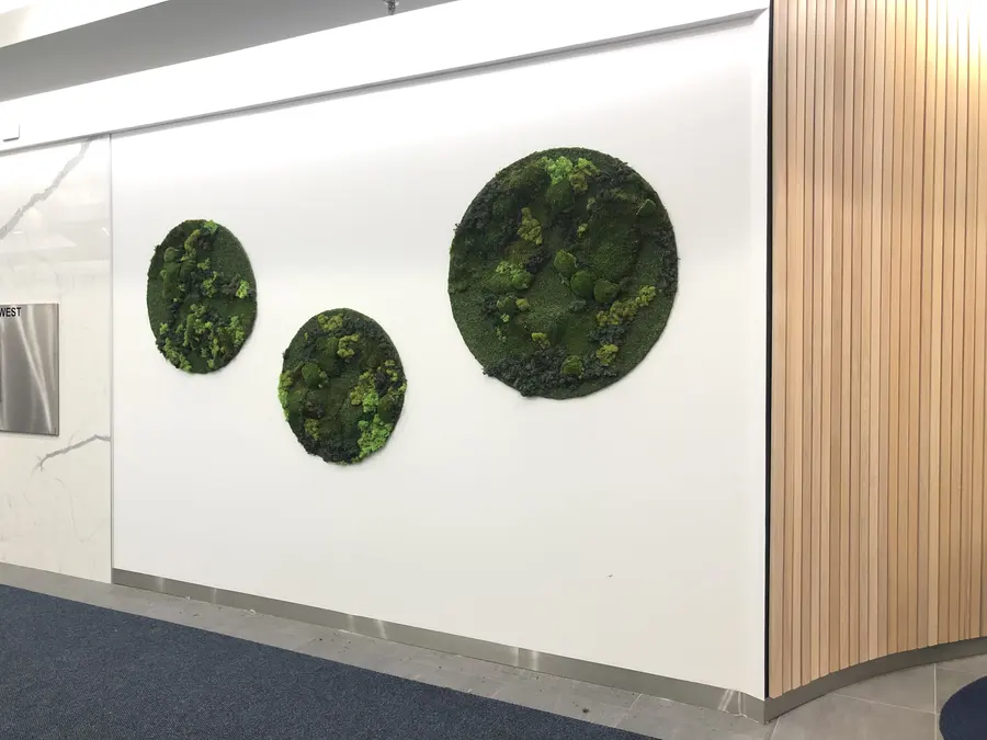 Preserved moss wall by Mythology Floral Art at 30 Eglinton Ave. West, Mississauga
