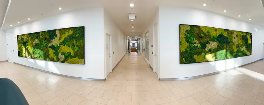 Preserved moss wall by Mythology Floral Art at 100 Milverton Dr., Mississauga
